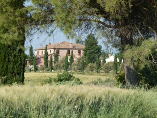 Agriturismo I Romiti Castiglione del Lago Exterior photo